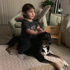 Meet your Posher, James